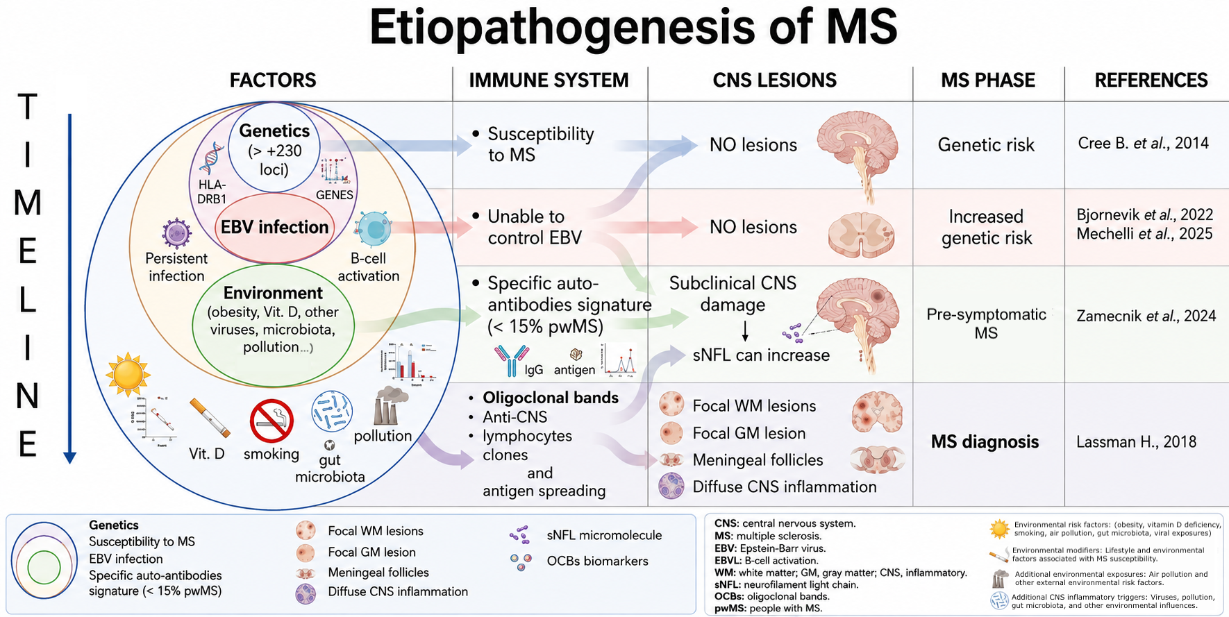 etiopathogenesis by curems.net